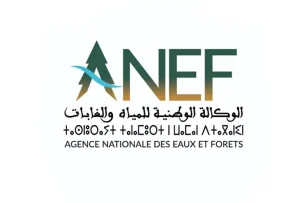 اعلان مباراة توظيف 88 منصب بالوكالة الوطنية للمياه والغابات 2025