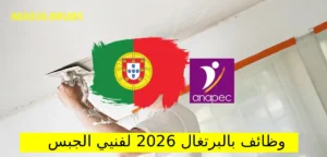 وظائف بالبرتغال 2026 لفنيي الجبس مع عقد عمل قانوني عبر ANAPEC
