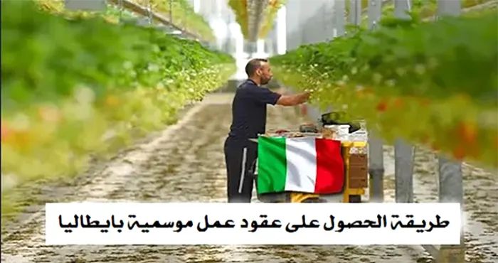 عقود عمل في إيطاليا مطلوب 151 ألف عامل للعمل في إيطاليا